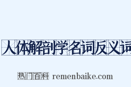 人体解剖学名词反义词是什么意思的图片